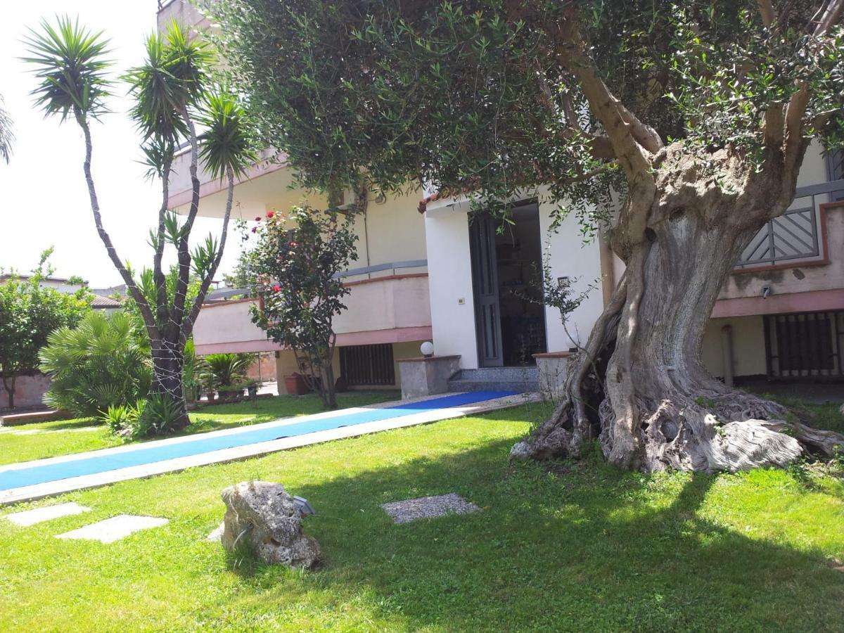 Bed & Breakfast Vesuvio